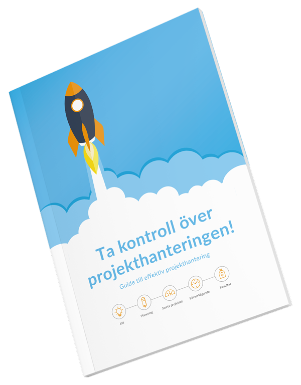 Project-management-guide-cover-mockup-SV